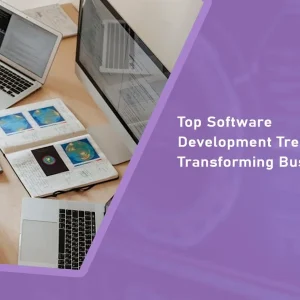 Software Development