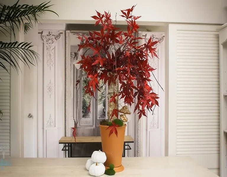 Home Decor