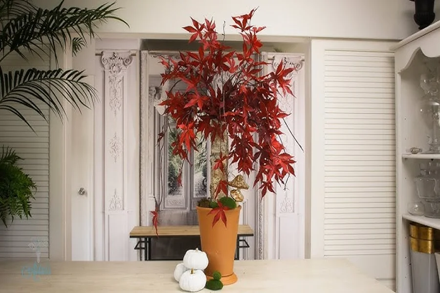 Home Decor